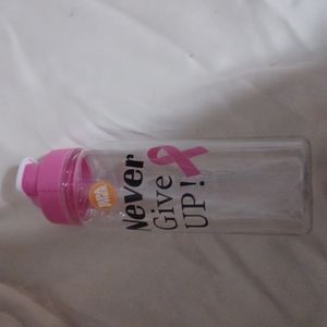Never Give Up BPA Free Bottle